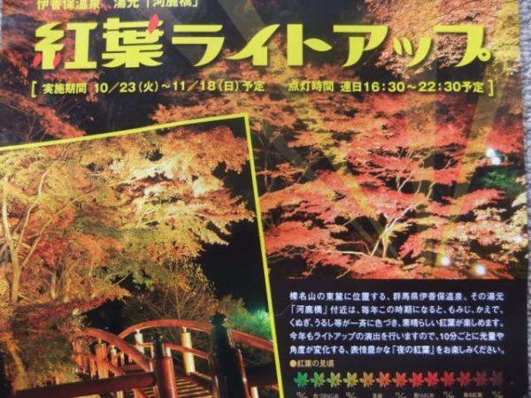 Hotel Ikaho Ginsui Shibukawa Экстерьер фото